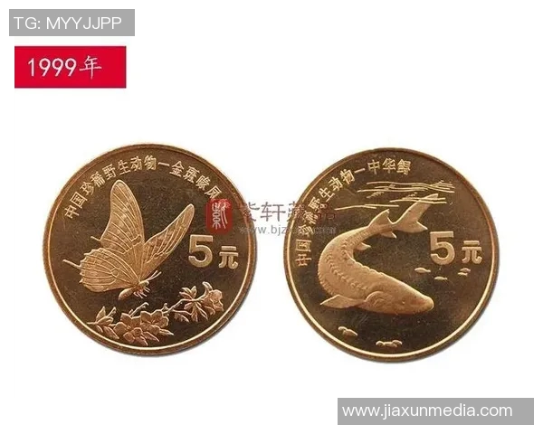 绝版足球明星卡片盘点这些珍稀藏品值得收藏与投资